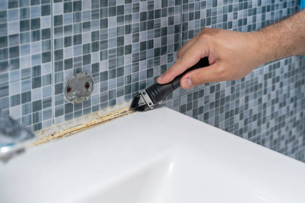 Best Basement Mold Remediation in Penngrove, CA